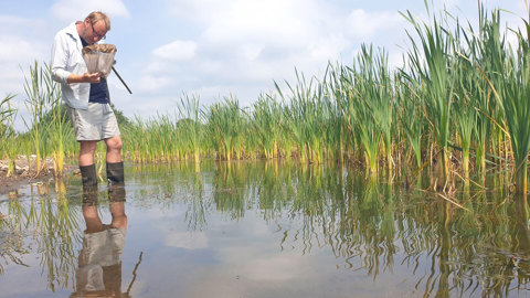 Biodiversitet Raadgivning Mism